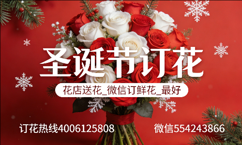 ��ݸ�ϳǻ���