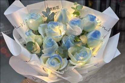 ��ݸ�ϳǻ���