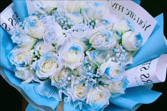 ��ݸ�ϳǻ���