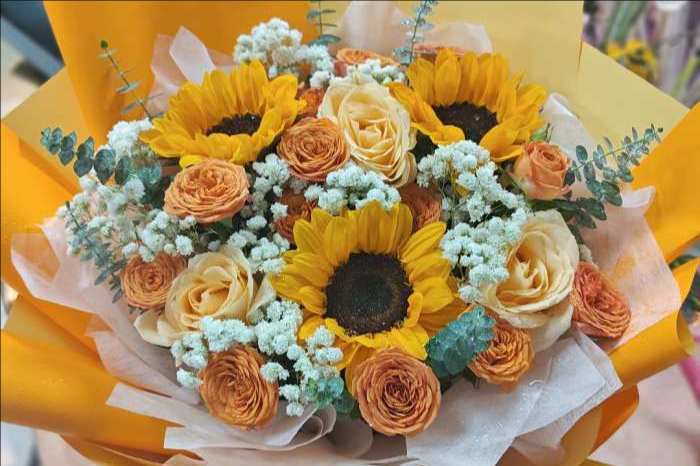 ��ݸ�ϳǻ���