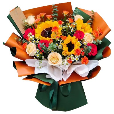 ��ݸ�ϳǻ���